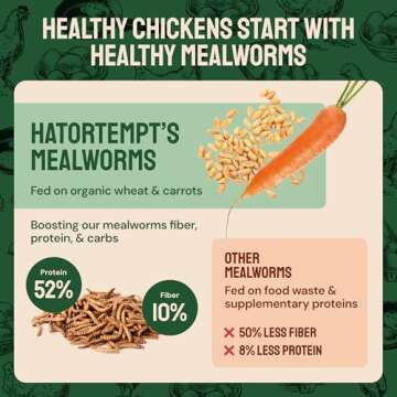 Hatortempt Dried Mealworms for Wild Birds 2 lbs – High Protein Non GMO Chicken Feed