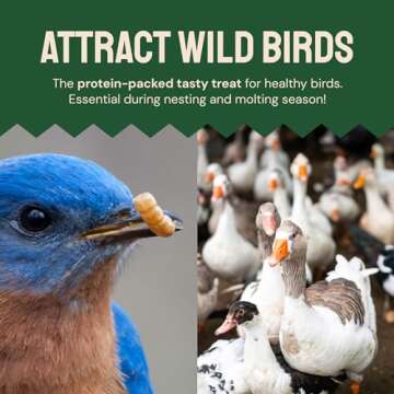 Premium Dried Mealworms for Birds & Poultry 2 lbs