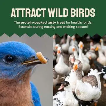 Premium Dried Mealworms for Birds & Poultry 2 lbs