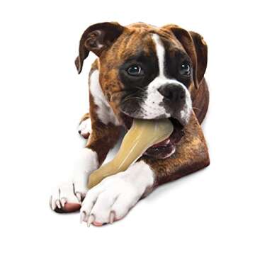 Nylabone Power Chew Femur Bone for Big Dogs - XX-Large Chew Toy
