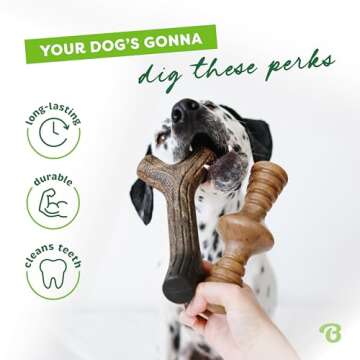 Benebone 2-Pack Maplestick and Zaggler Dog Chew Toys