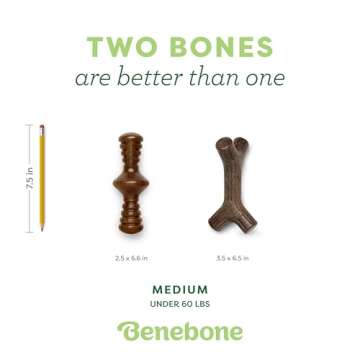 Benebone 2-Pack Maplestick and Zaggler Dog Chew Toys