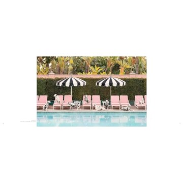 Gray Malin: Stunning Dog Photographs Coffee Table Book