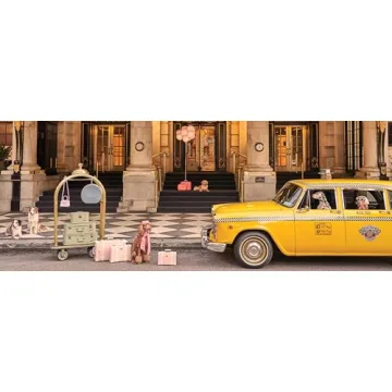 Gray Malin: Stunning Dog Photographs Coffee Table Book