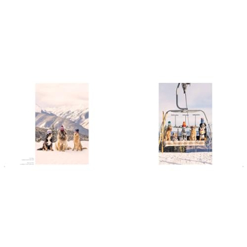 Gray Malin: Stunning Dog Photographs Coffee Table Book