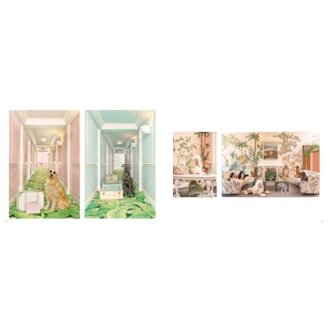 Gray Malin: Stunning Dog Photographs Coffee Table Book