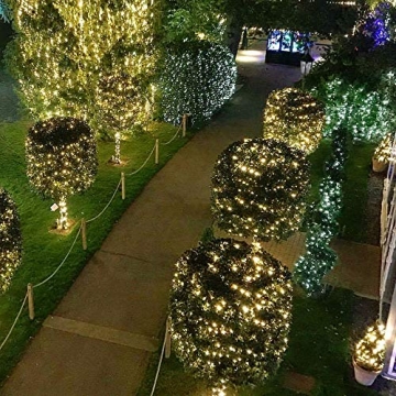 ER CHEN Fairy Lights Plug in, 66ft/20m 200 LED String Lights, Waterproof Indoor/Outdoor Green Copper Wire Christmas Lights for Bedroom, Patio, Garden, Parties (Warm White)