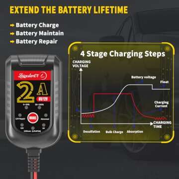 LST 2A Smart Battery Charger for Cars & Motorcycles
