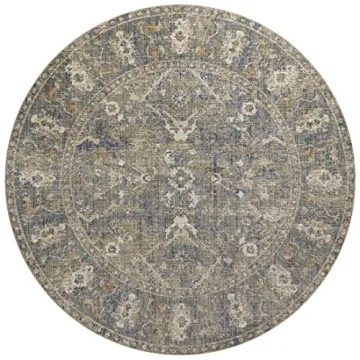 Stylish Loloi Rosemarie 2'7"x4' Accent Rug | Soft Modern Décor