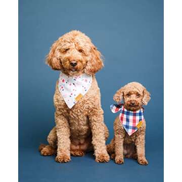 Remy+Roo Large 4th of July Dog Bandanas - 2 Pack Liberty Set | Premium Durable Adjustable Polyester Fabric | Patented Shape Dog Bandanas | Summer Dog Bandana | American Flag Dog Bandana