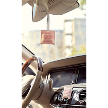 Stylish HORELIXIE Car Air Fresheners - Long Lasting Fragrance