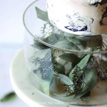 LACUPELLA Acrylic Fillable Cake Pillar Stand, Raiser and Enhancer Display Wedding Centerpiece - Decoration with Flowers, LED, Donuts, Sand, Water and More (8 in Diameter 4 in High)