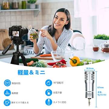 BOYA BY-P4A Mini Camera Mic with Noise Reduction for Expert Audio