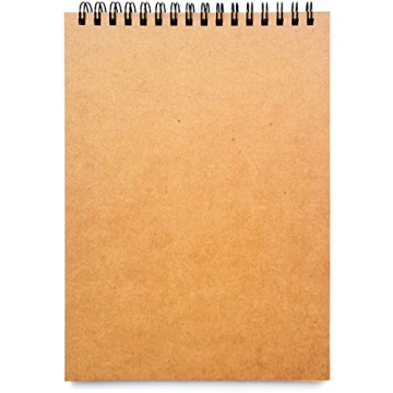 Steno Pads, Note Pads, Lined Thick Paper, 60 Sheets, 6” x 8” (1 PACK, Lined Paper)