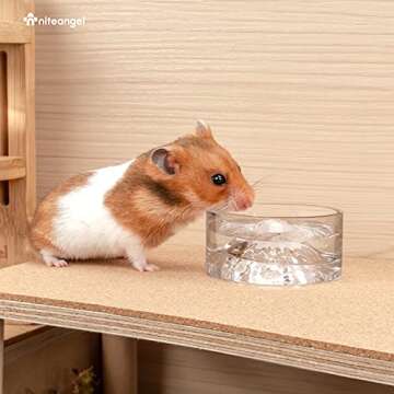 Niteangel Hamster Feeding & Water Bowls- Mount Fuji Series Glass Drinking Bowls for Dwarf Syrian Ham...