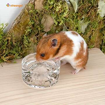 Niteangel Hamster Feeding & Water Bowls- Mount Fuji Series Glass Drinking Bowls for Dwarf Syrian Hamsters Gerbils Mice Rats or Other Similar-Sized Small Pets