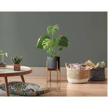 Fox & Fern Mid Century Plant Stand — 10 Inch Fixed Size Wooden Plant Stand for Indoor Planters; Ra...