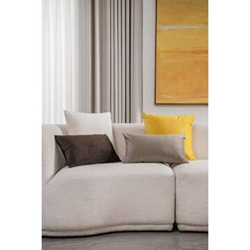 DEZENE Decorative Pillow Covers 12x20 Taupe: 2 Pack Cozy Soft Velvet Rectangular Throw Pillow Cases for Farmhouse Home Decor