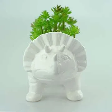 Adorable Triceratops Ceramic Planter for Kids & Adults