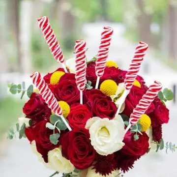 Twisty Lollipop 30 Pack - Colorful Rainbow Treats