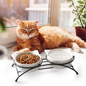 Y YHY Raised Cat Food Bowls for Comfortable Dining