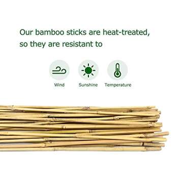 Cambaverd 5 Feet Bamboo Stakes - Eco-Friendly Plant Support