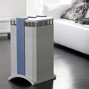 IQAir GC MultiGas Air Purifier for Allergens & Odors