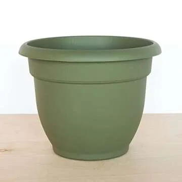 Bloem Ariana Pot Planter: 12" - Living Green - Durable Resin Pot, for Indoor and Outdoor Use, Gardening, Self Watering Disk Included, 3 Gallon Capacity