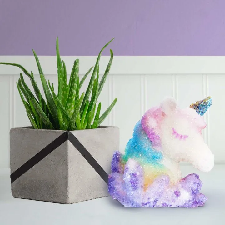 3D Crystal Growing Unicorn STEM Kit for Kids