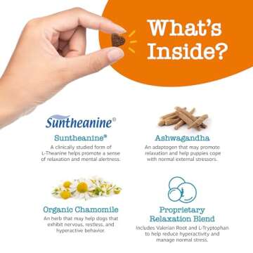 Zesty Paws Calming Chews for Dogs Composure & Relaxation for Everyday Stress & Separation Turkey Puppy 90 Count