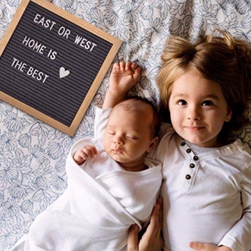 Creative Double-Sided Felt Letter Board with 889 Letters