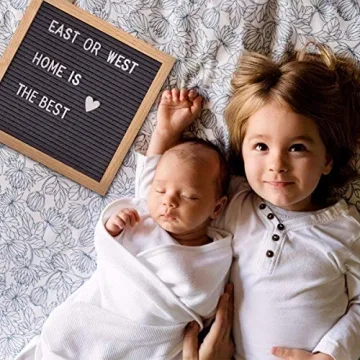 Creative Double-Sided Felt Letter Board with 889 Letters