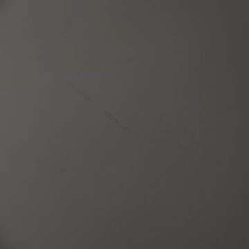 LloydPans Chicago Style Deep Dish Pizza Pan 12 Inch by 2.25 Inch - PSTK