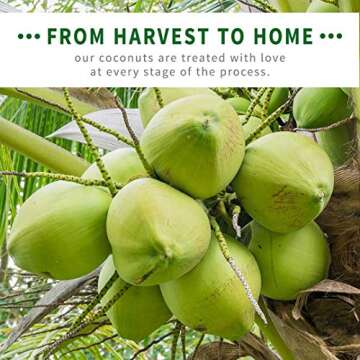 Chosen Foods Coconut Oil Spray - Non-GMO, Propellant-Free