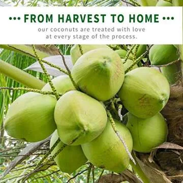 Chosen Foods Coconut Oil Spray - Non-GMO, Propellant-Free