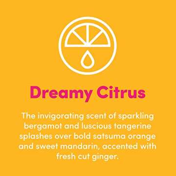 Clean Revolution Multi Surface Cleaner Kit Reusable Spray Bottle + 1 Refill Pod Dreamy Citrus Scent Makes 6 bottles/84 Total oz Eco Friendly Product Biodegradable Plant Based Non Toxic, 2 Piece Set