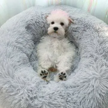 Cozy Plush Round Pet Bed for Cats & Small Dogs