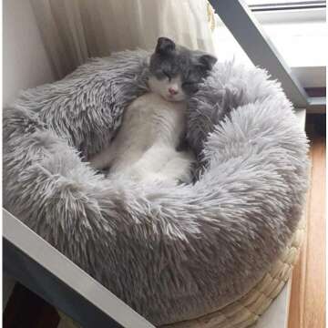 Cozy Plush Round Pet Bed for Cats & Small Dogs