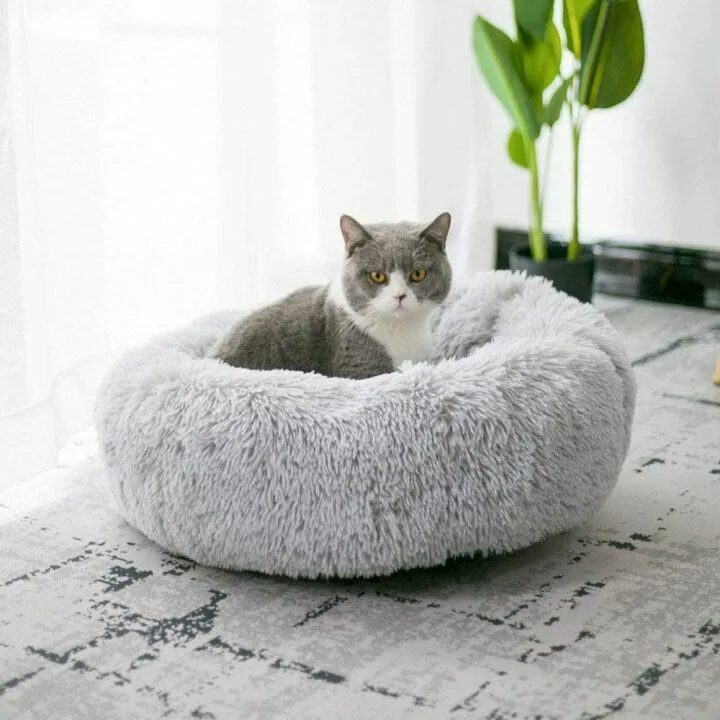Cozy Plush Round Pet Bed for Cats & Small Dogs