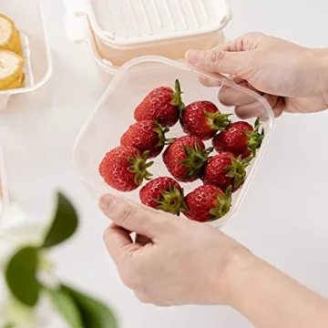 GOODSDECO BPA-Free Food Storage Containers Set of 5