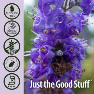 Nature's Answer Alcohol-Free Vitex Berry, 1-Fluid Ounce | Promotes Hormonal Balance | Ovulation Support | Menopausal Support