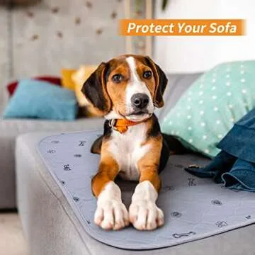 Washable Pee Pads for Dogs, 2Pack Reusable Puppy Pads, Absorbent Whelping Pads with Bone Print, Non-Slip Waterproof Pet Training Pads for Couch, Crate, Potty Training 18x24