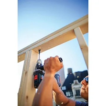 BOSCH DSB5012 Daredevil Spade Bit Set for Wood Drilling