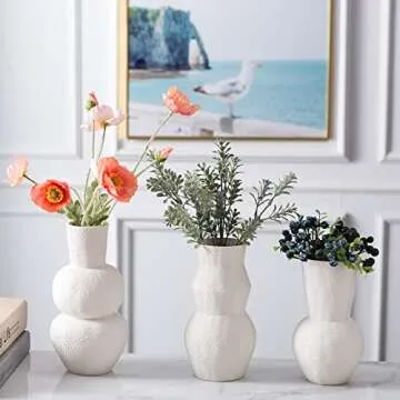 Banllis Ceramic Vases Set for Modern Home Decor