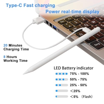 Affordable Stylus Pen for iPad - Palm Rejection & Fast Charging