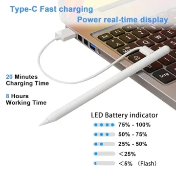 Affordable Stylus Pen for iPad - Palm Rejection & Fast Charging