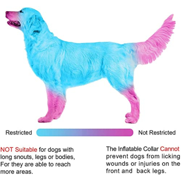 Comfortable Inflatable Dog Cone Collar for Recovery