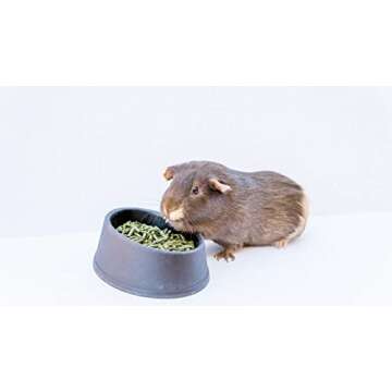High Desert Delight Alfalfa Pellets: The Holy Grail of Small Pet Food for Your Furry, Feathered, and Shelled Friends