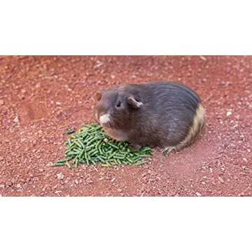 High Desert Delight Alfalfa Pellets: The Holy Grail of Small Pet Food for Your Furry, Feathered, and Shelled Friends