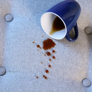 ProtectME Fabric Protector: Ultimate Non-Toxic Stain Guard Spray